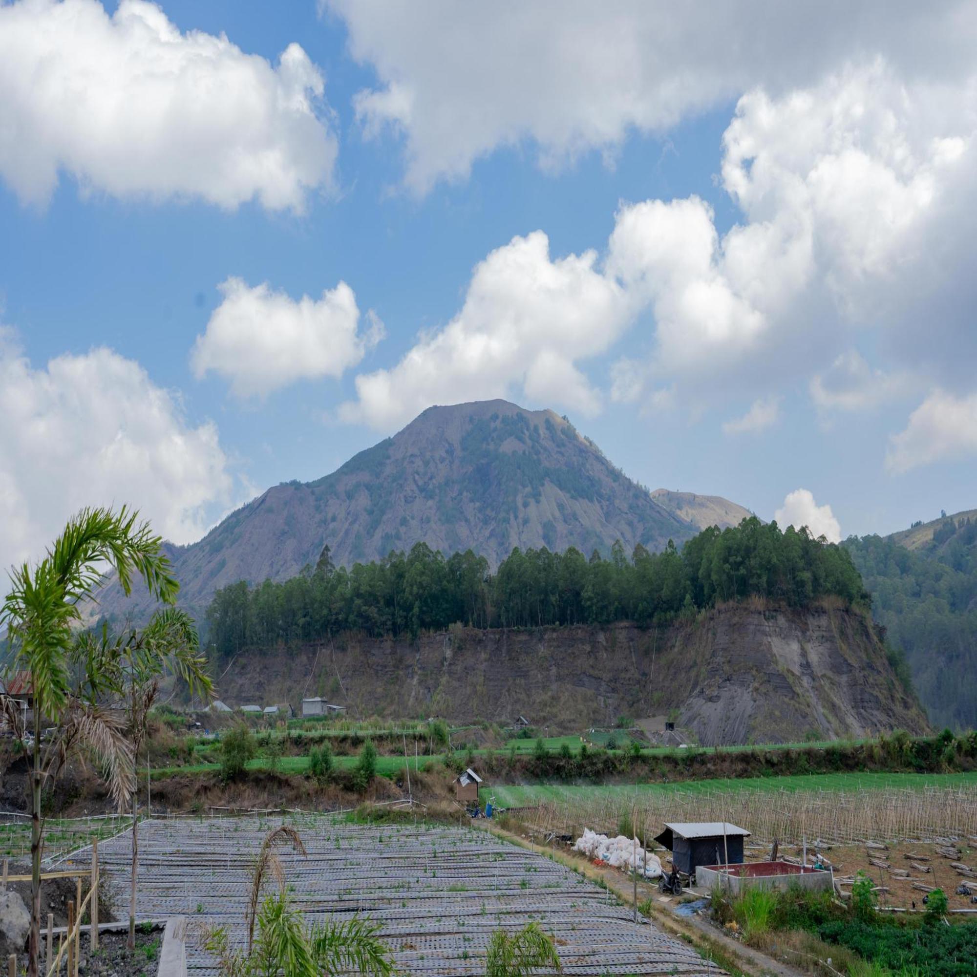 Batur Kencana Villa Mitra Reddoorz Baturaja  Exterior foto